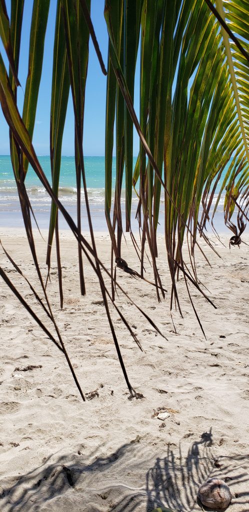 Melhores praias de Alagoas