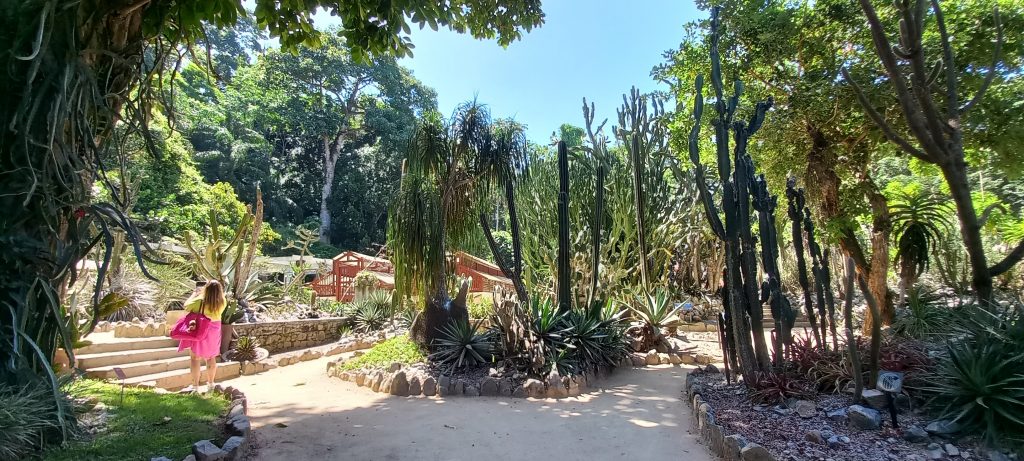 1 dia no Jardim Botânico do Rio