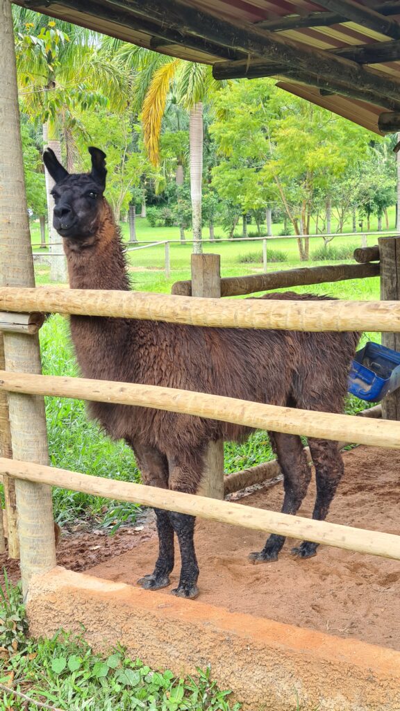 Eco Resort Fazenda Gamela