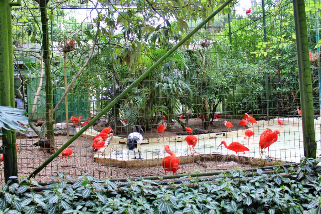 o que fazer com crianças em Pomerode